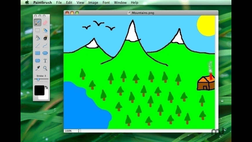 website that is microsoft paint for mac